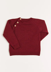 Doggy Intarsia Jumper in Burgundy (12mths-10yrs) Knitwear from Pepa London US