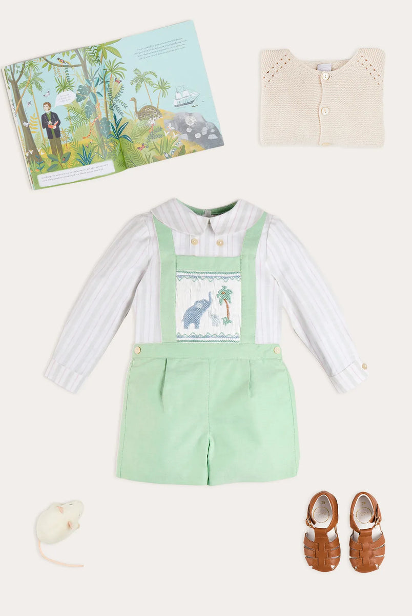 THE BABY BOY LOOKBOOK