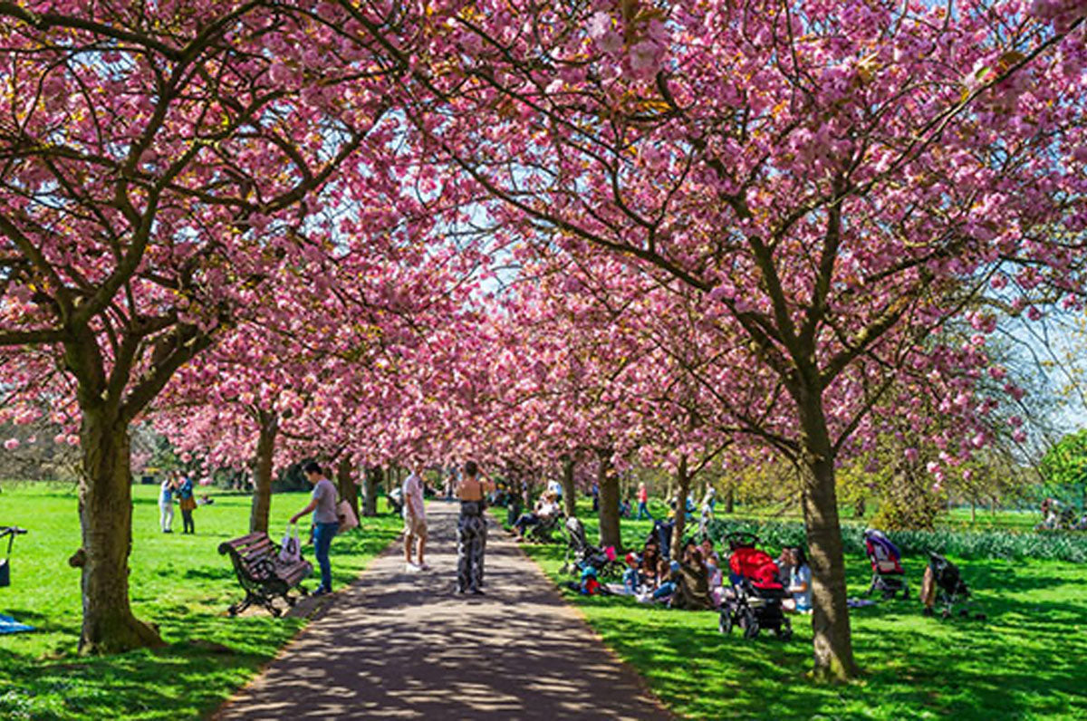 Spring has Sprung in London!