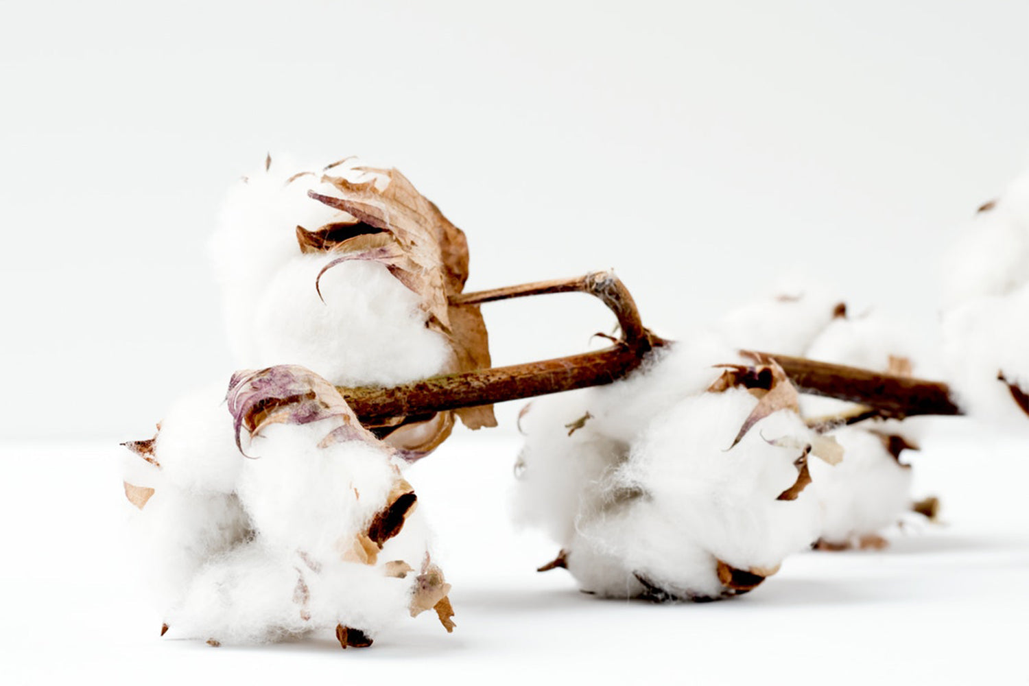 Pima Cotton - Only the best for your baby