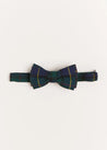 Windsor Tartan Bow Tie in Green Hair Accessories  from Pepa London US