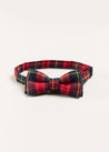 Belgravia Tartan Bow Tie in Red Hair Accessories  from Pepa London US