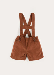 Button Detail Shorts with Braces in Brown (18mths-4yrs) Shorts from Pepa London US