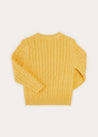 Cable Detail Crew Neck Jumper In Mustard Yellow (2-10yrs) KNITWEAR  from Pepa London US