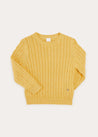 Cable Detail Crew Neck Jumper In Mustard Yellow (2-10yrs) KNITWEAR  from Pepa London US