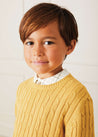 Cable Detail Crew Neck Jumper In Mustard Yellow (2-10yrs) KNITWEAR  from Pepa London US