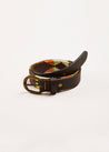 Polo Belt in Multi (XS-S) Belts & Braces  from Pepa London US