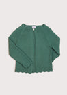 Openwork Hem Single Button Cardigan in Green (6mths-10yrs) Knitwear  from Pepa London US