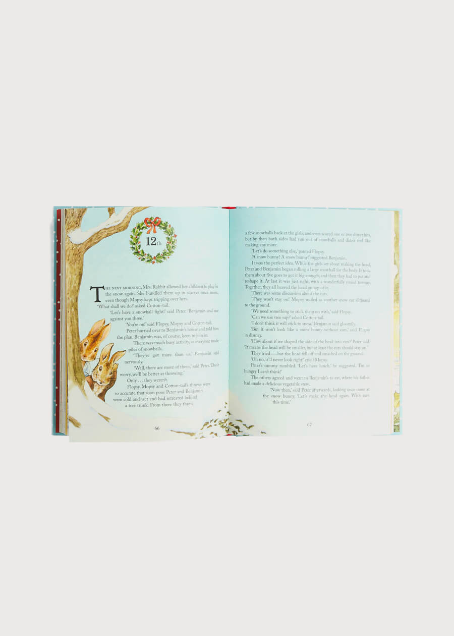 Peter Rabbit Christmas is Coming Book TOYS from Pepa London US