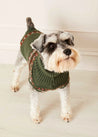 Fair Isle Dog Jumper in Green (S-M) Knitwear  from Pepa London US