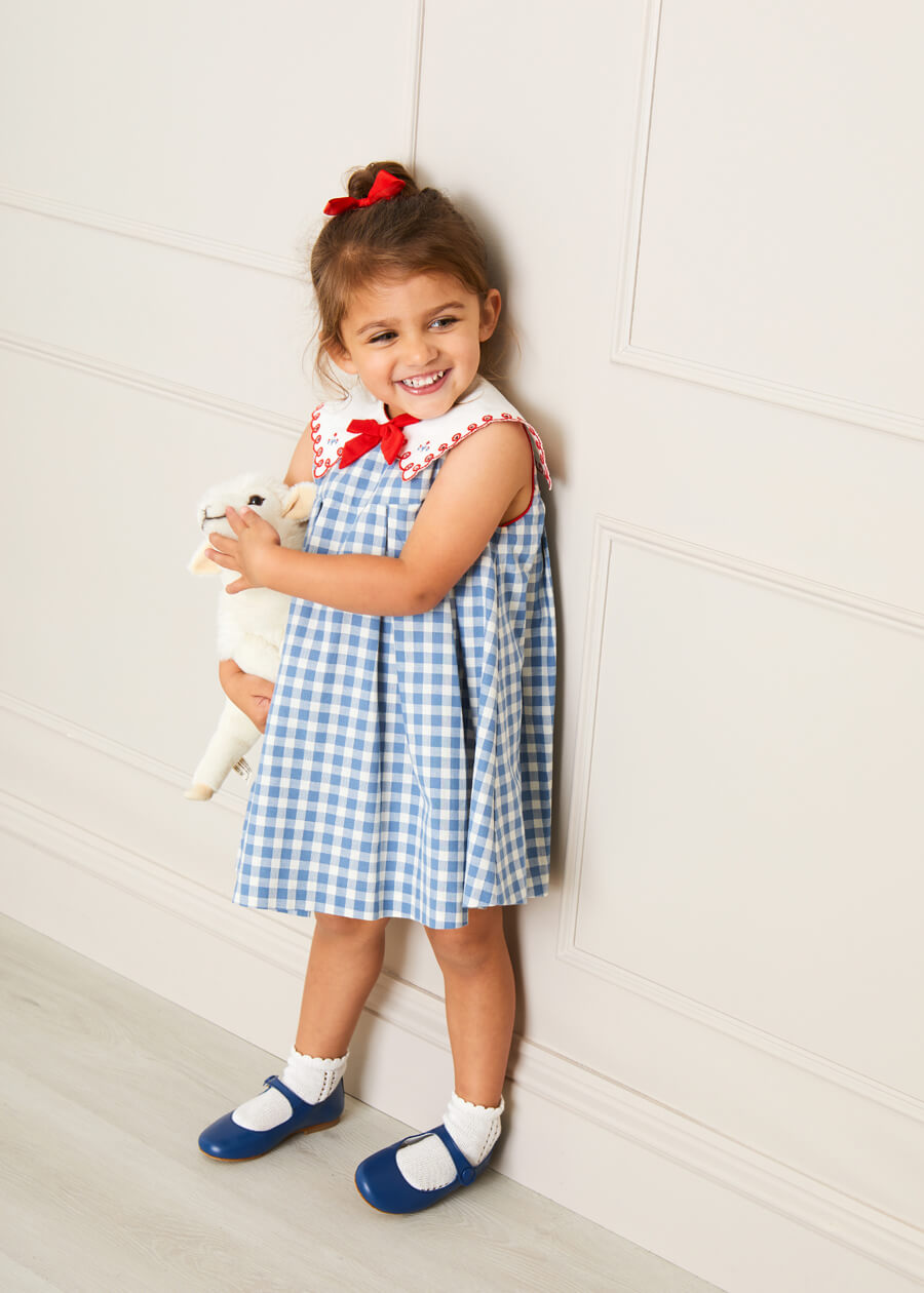 Darby Gingham Embroidered Sleeveless Dress in Blue (12mths-12yrs) Dresses from Pepa London