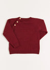 Doggy Intarsia Jumper in Burgundy (12mths-4yrs) Knitwear  from Pepa London US