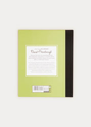 Little People, Big Dreams - David Attenborough Book in Green BOOKS from Pepa London US