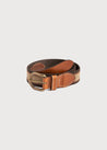 Brown Striped Belt Belts & Braces  from Pepa London US